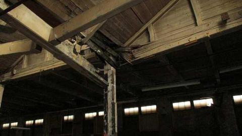 Inside S and L - S-and-L-Plant76.jpg