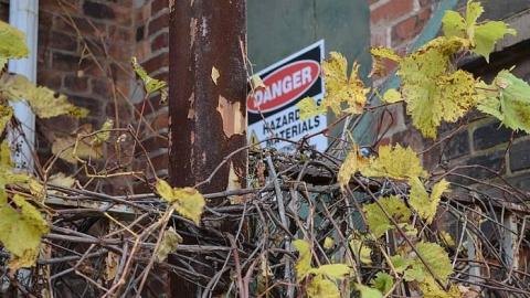 Stuck Outside - Century-Manor-Asylum296.jpg