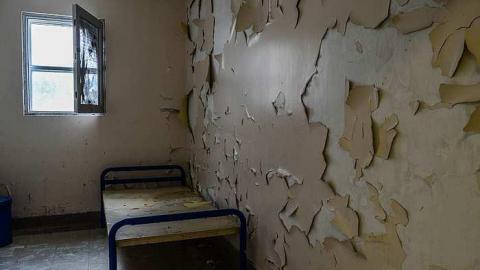 Unexpected Entry - DSC_0278.jpg