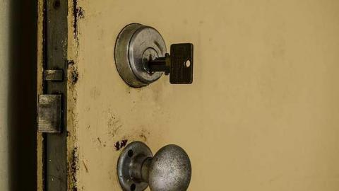 Unexpected Entry - DSC_0287.jpg