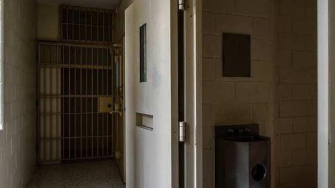 Unexpected Entry - DSC_0300.jpg