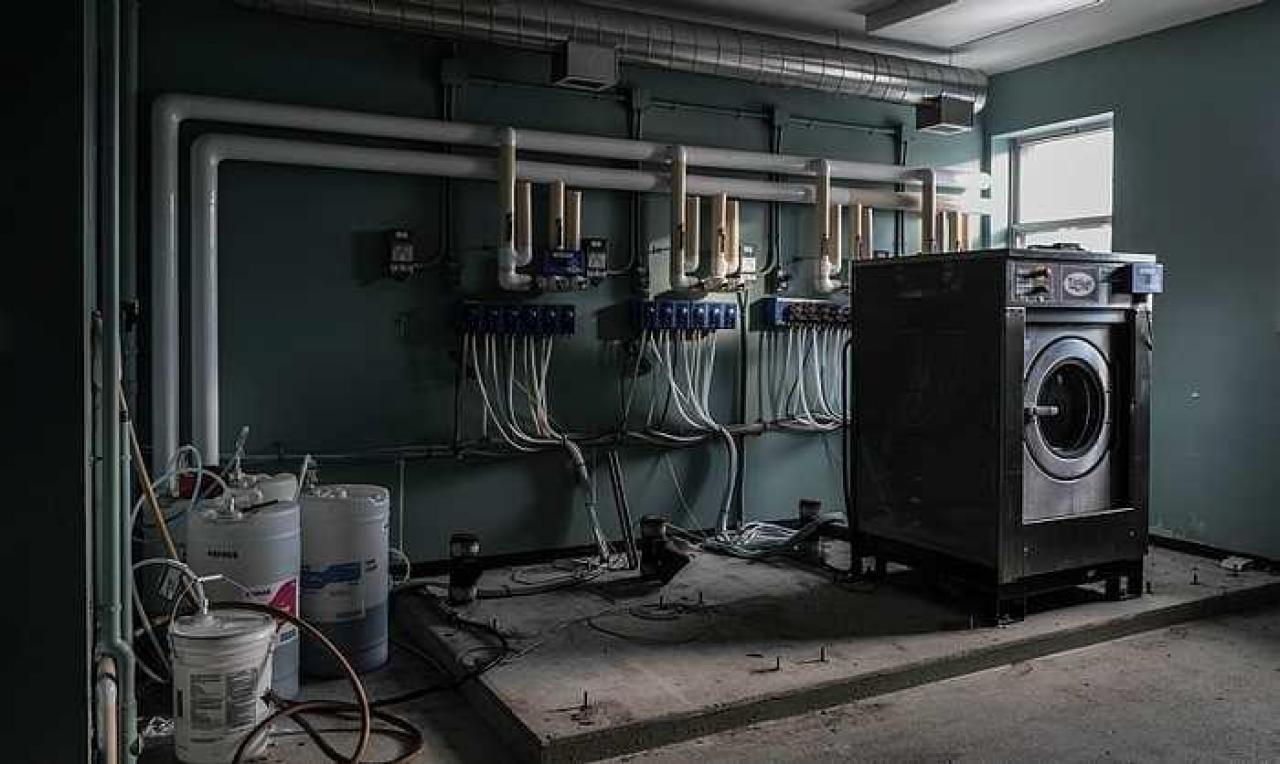 Unexpected Entry - DSC_0318.jpg