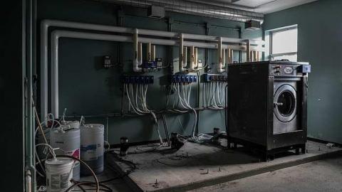 Unexpected Entry - DSC_0318.jpg