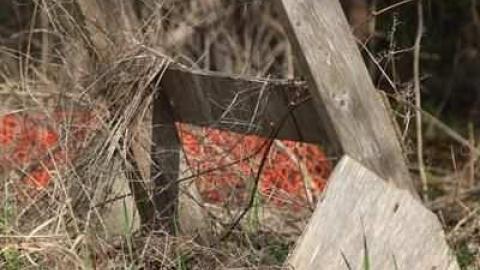 Hoar House - Hoar-House10.jpg