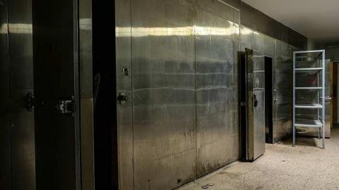 Unexpected Entry - DSC_0319.jpg