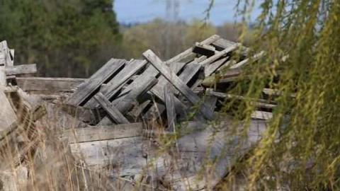 Hoar House - Hoar-House11.jpg