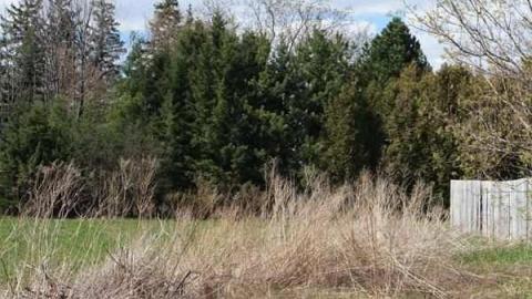 Hoar House - Hoar-House12.jpg