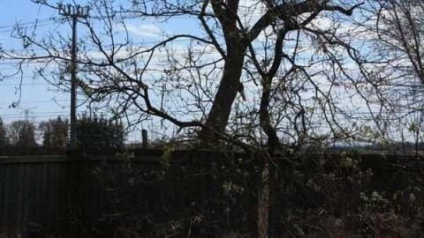 Hoar House - Hoar-House13.jpg