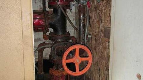 Pacini - Pacini5.jpg