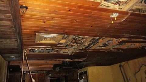 Pacini - Pacini14.jpg