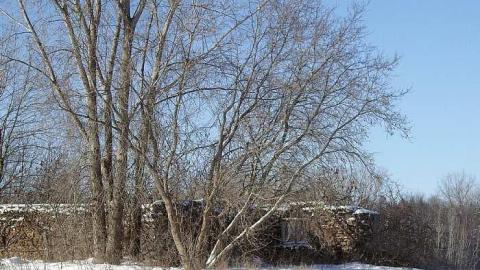 Stone Barn - Morgan-Abandoned-Barn5.jpg