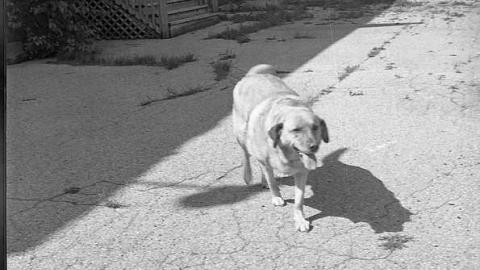 Oasis Hotel on Silent Lake - Highlands East, Ontario