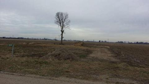 Photo from Might have to say goodbye