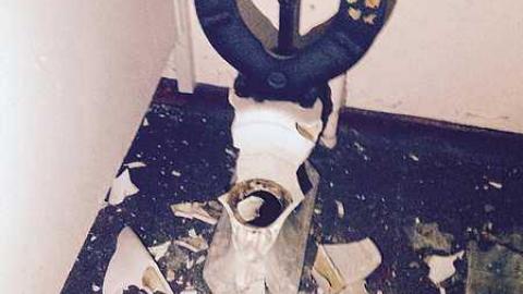 Photo from Jan 9, 2016