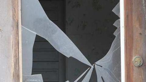 short visit, OPP watching - P1010571.jpg