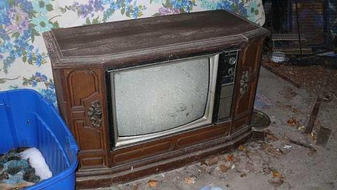 short visit, OPP watching - P1010526.jpg