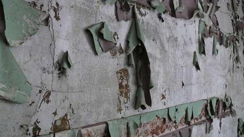 short visit, OPP watching - P1010530.jpg