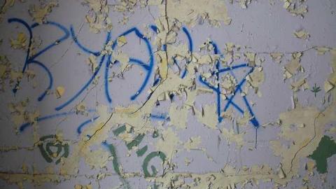 short visit, OPP watching - P1010532.jpg