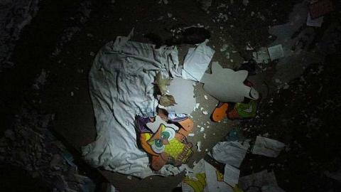 short visit, OPP watching - P1010533.jpg