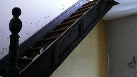 short visit, OPP watching - P1010539.jpg