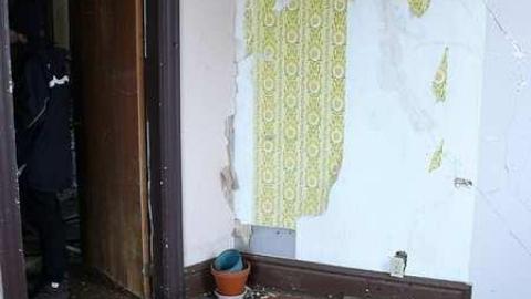 short visit, OPP watching - P1010540.jpg