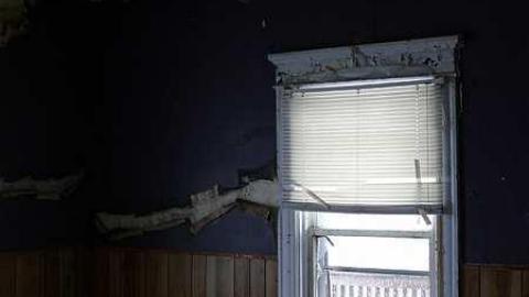 short visit, OPP watching - P1010541.jpg