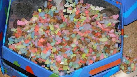 short visit, OPP watching - P1010549.jpg