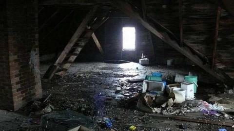 short visit, OPP watching - P1010554.jpg