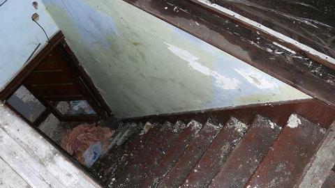 short visit, OPP watching - P1010561.jpg