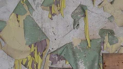 short visit, OPP watching - P1010568.jpg