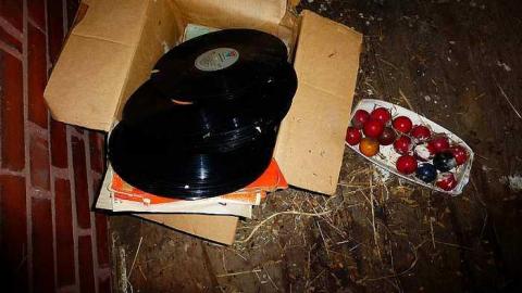 In the Fog - Latched-Into-Darkness140.jpg