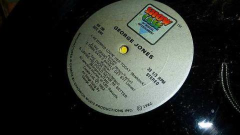 In the Fog - Latched-Into-Darkness148.jpg