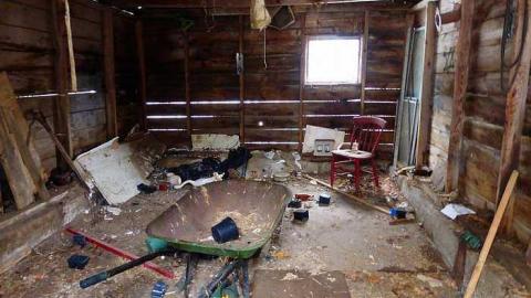 In the Fog - Latched-Into-Darkness142.jpg