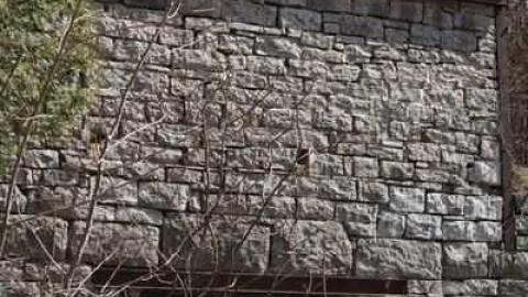 Toronto Brickworks - Toronto-Brickworks--Coby12.jpg