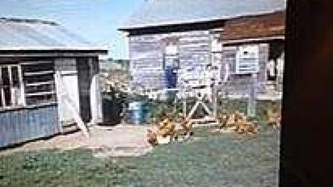 Brannigan - 11650481_10155802960380512_2099985156_n.jpg