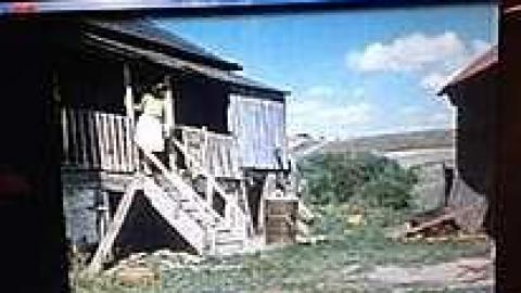 Brannigan's Daughter photo 2