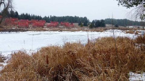 Brannigan's Daughter - Vaughan, Ontario