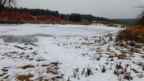 Brannigan's Daughter photo 3