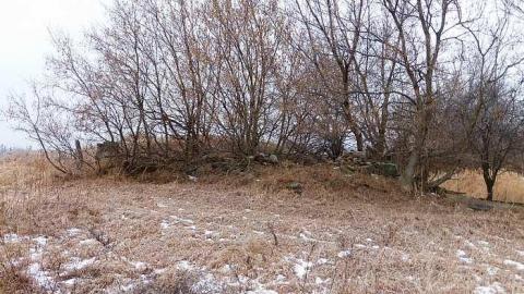 Brannigan - P1050332.jpg