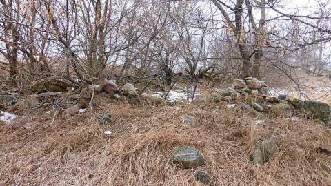 Brannigan - P1050333.jpg