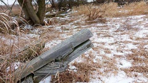 Brannigan - P1050334.jpg