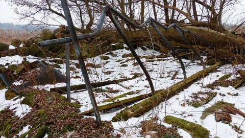 Brannigan's Daughter photo 4