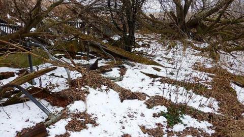 Brannigan - P1050337.jpg