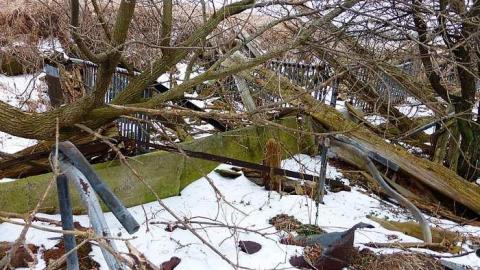 Brannigan - P1050338.jpg