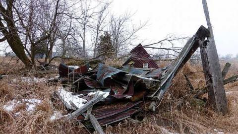 Brannigan - P1050339.jpg