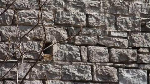 Toronto Brickworks - Toronto-Brickworks--Coby15.jpg