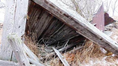 Brannigan - P1050340.jpg