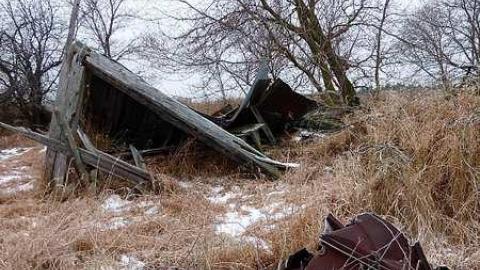 Brannigan - P1050341.jpg