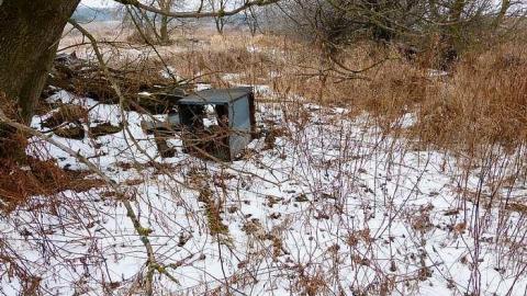 Brannigan - P1050342.jpg