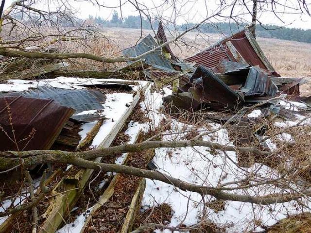 Brannigan's Daughter photo 5